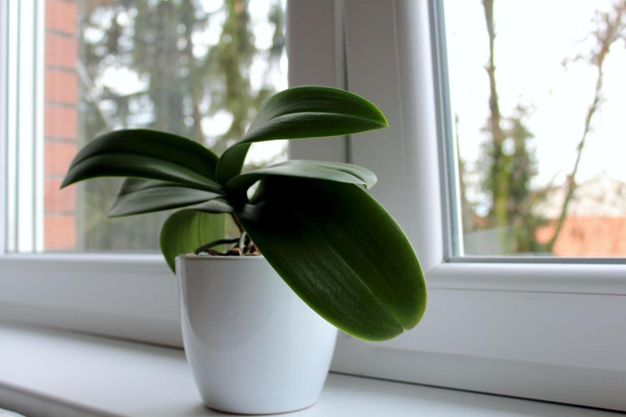 Studioapartman M Valpovo Luaran gambar